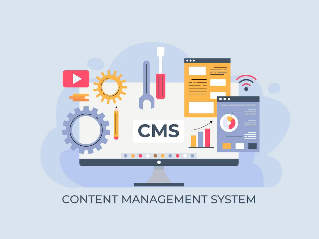 Knowledge and experience of CMS development