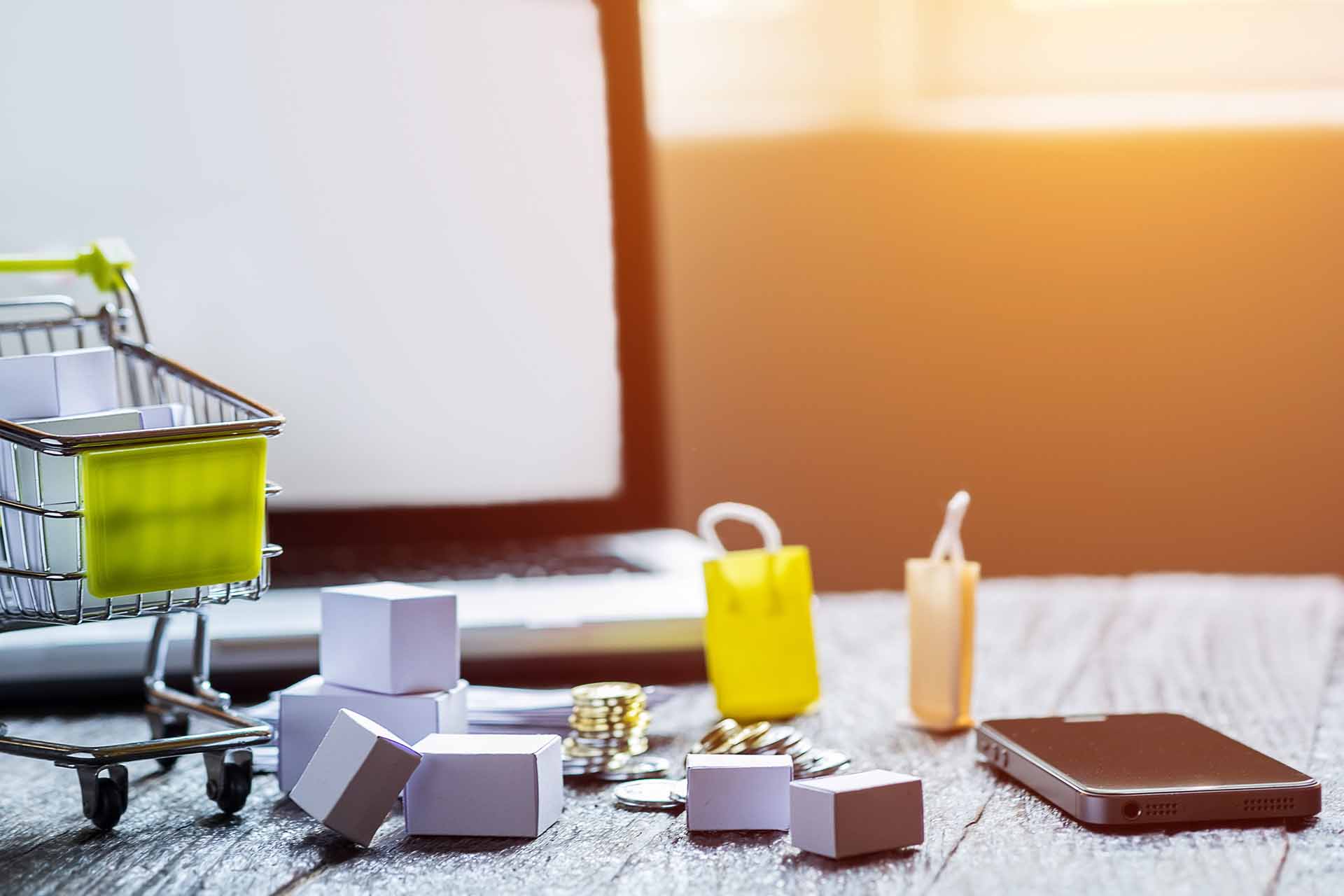 Magento 2-Developer