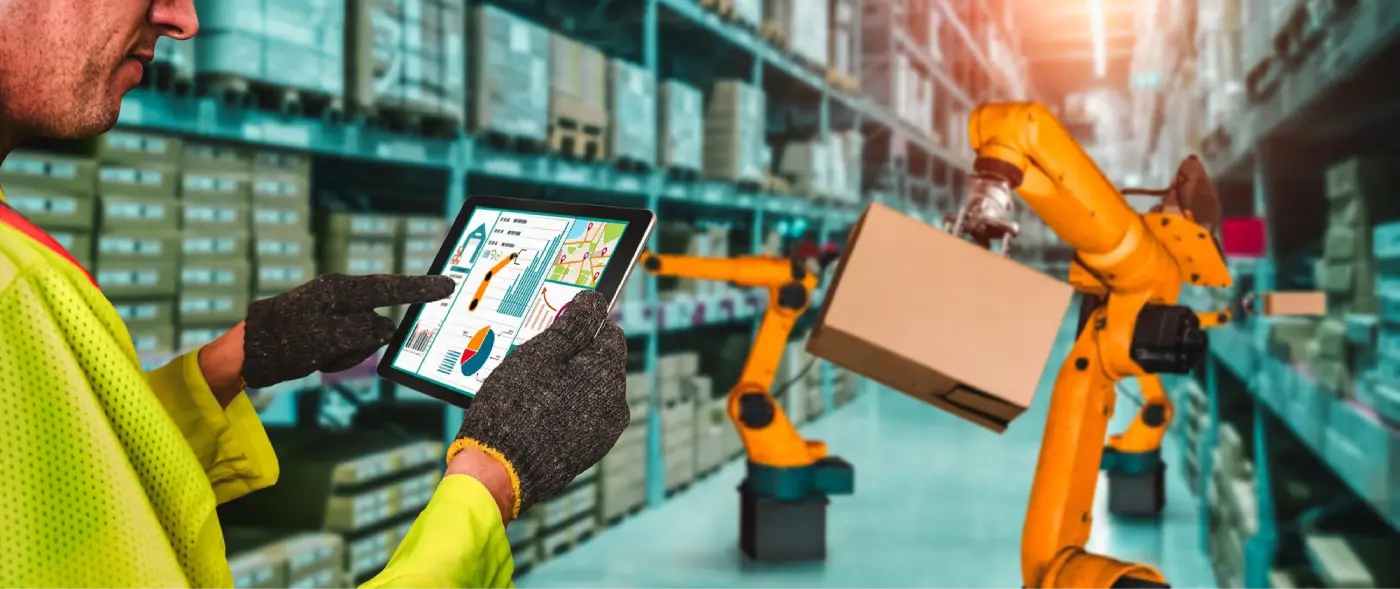 Logistics Development