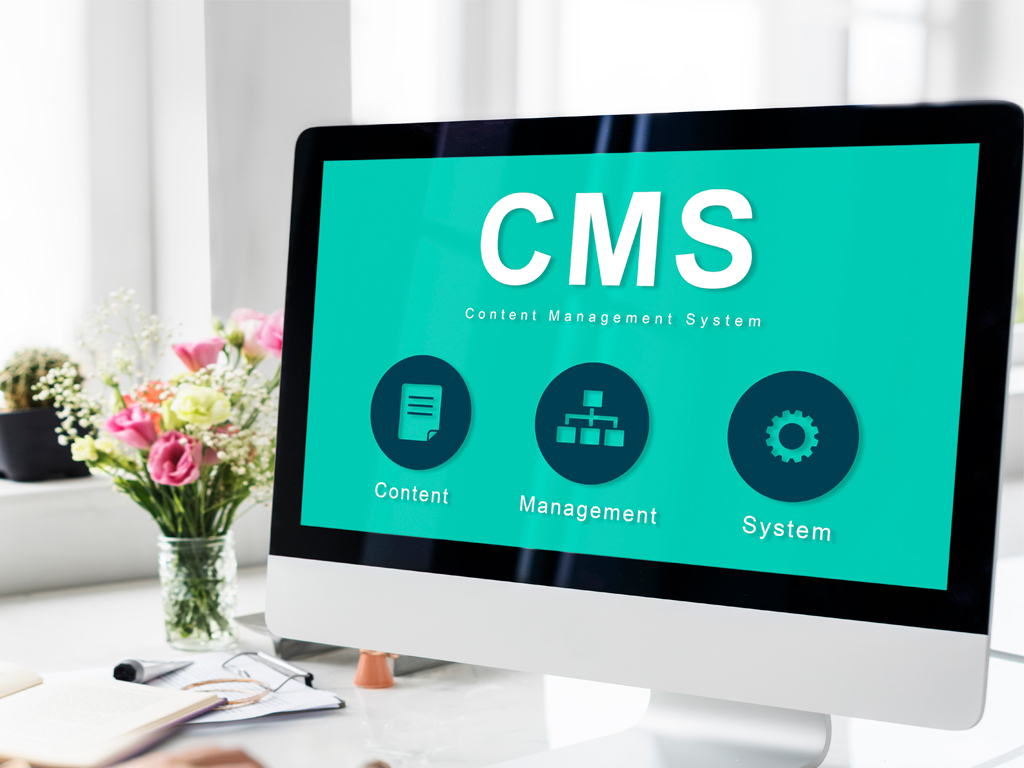 experience of CMS development