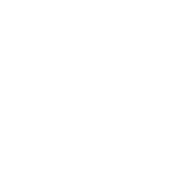 GPT-4