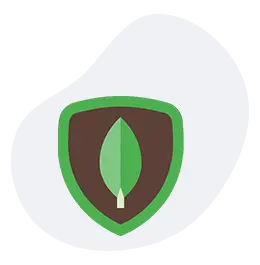 Hire MongoDB Developers