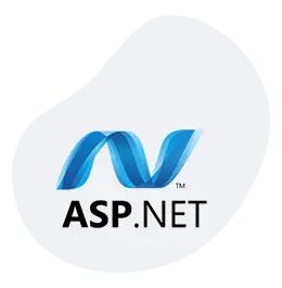 Hire ASP.NET Developers