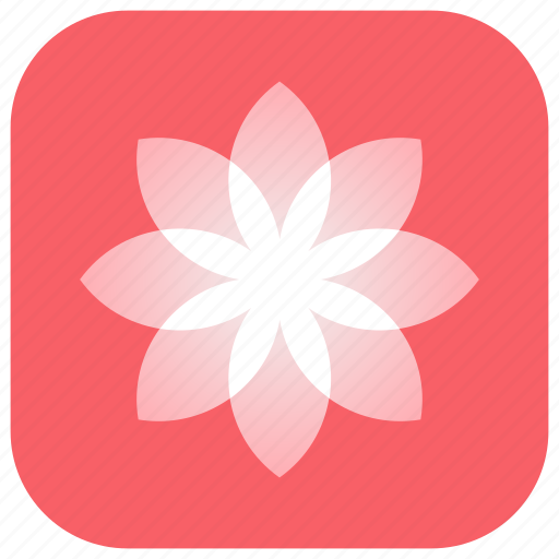 Image Gallery